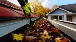 Gutter Cleaning